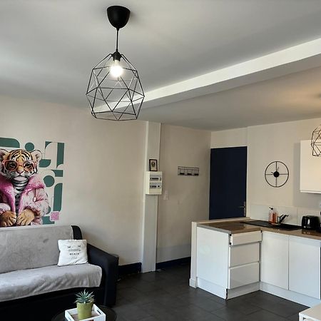 Spacieux, Climatise, Quartier Calme, Proche Chateau, Le Cocon De Joy Carcassonne Exterior foto