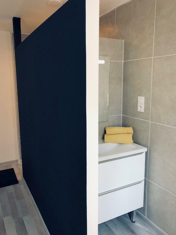 Spacieux, Climatise, Quartier Calme, Proche Chateau, Le Cocon De Joy Carcassonne Exterior foto